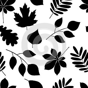 Seamless pattern silhouettes of autumn leaves rowan maple oak chestnut chestnut black color vector illustration